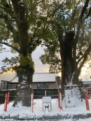 美奈宜神社(福岡県)
