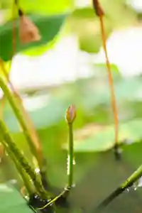 浄土寺(兵庫県)(2025年09月11日(木) 07時47分47秒投稿)