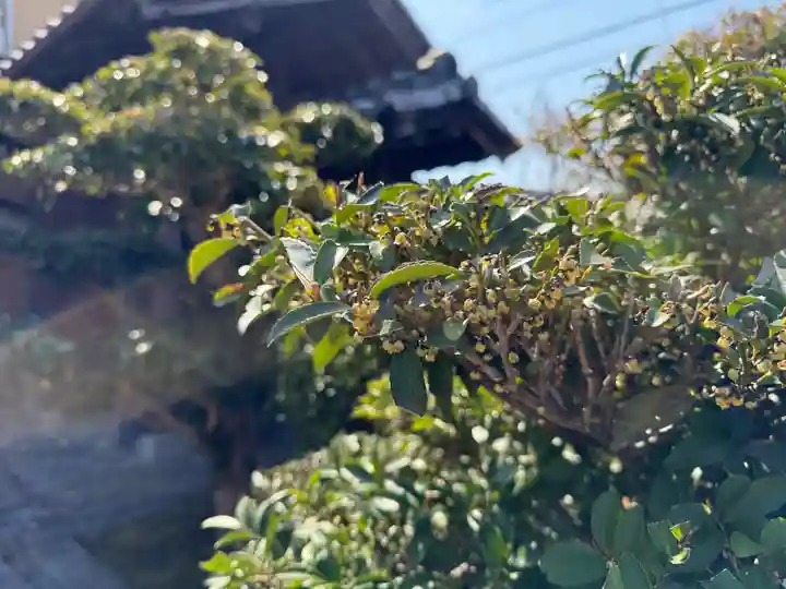 西方山極楽寺(岐阜県)