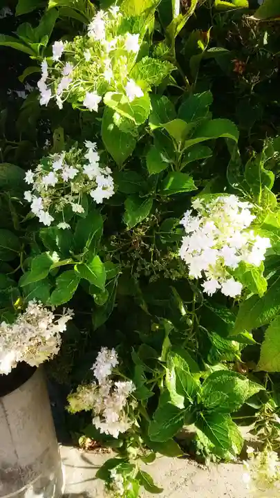 尾張大國霊神社(国府宮)の周辺