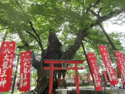 秩父今宮神社の自然