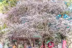 正一位 若草稲荷神社(宮城県)