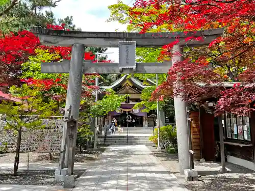 彌彦神社　(伊夜日子神社)の鳥居