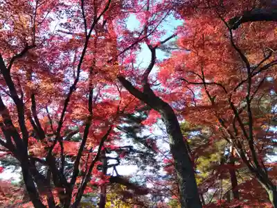 妙法寺(福井県)