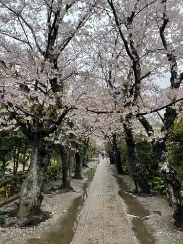 極楽寺（霊鷲山感應院極楽律寺）の景色