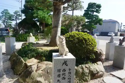 松江宗忠神社の狛犬