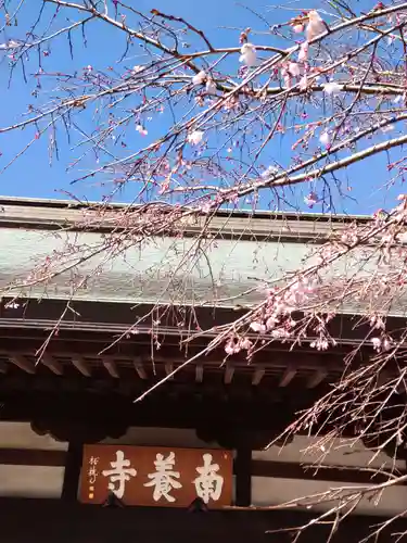 南養寺の本殿・本堂