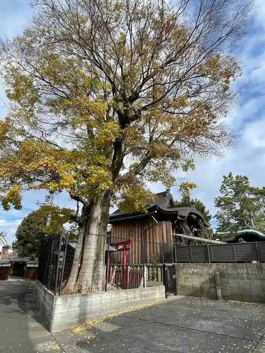 天満宮(滋賀県)