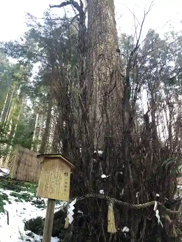 貴船神社の自然