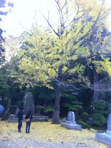 筑波山神社の自然