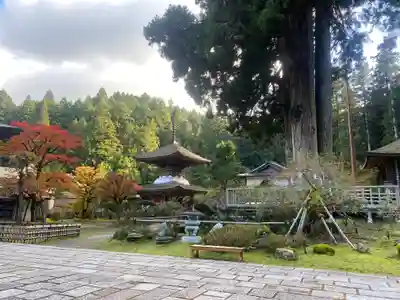 金剛三昧院(和歌山県)