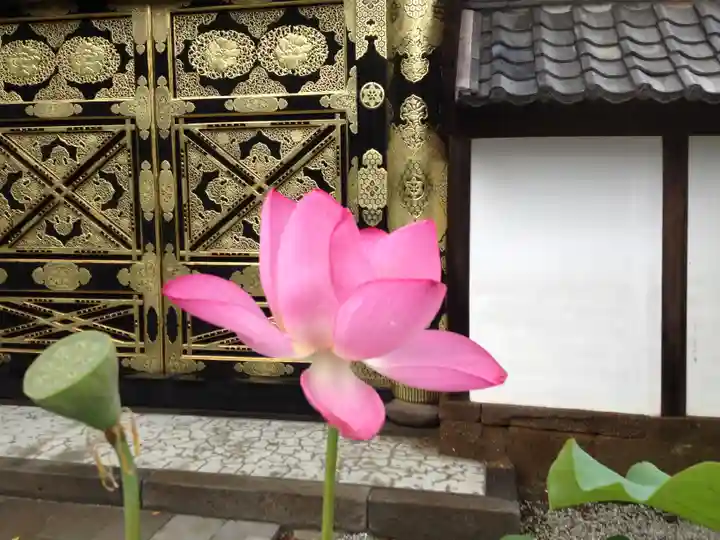 建長寺(神奈川県)