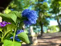 白鳥神社の自然