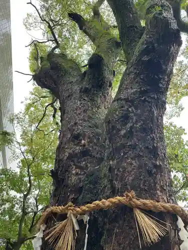 貴布禰神社(静岡県)