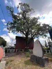 手力雄神社(岐阜県)