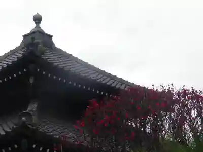 本覚寺のその他建物
