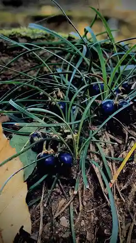 浄居寺(山梨県)