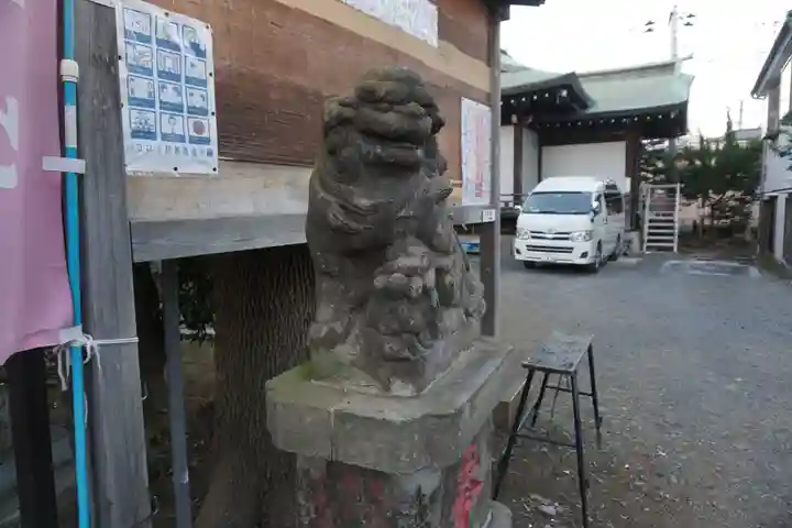 幡ケ谷氷川神社の狛犬