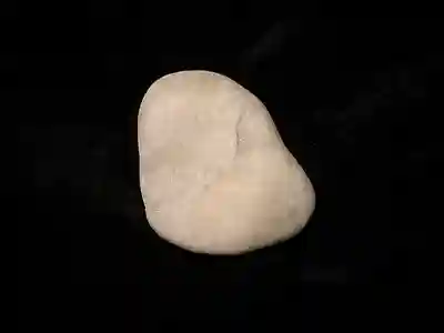 三輪坐恵比須神社(奈良県)