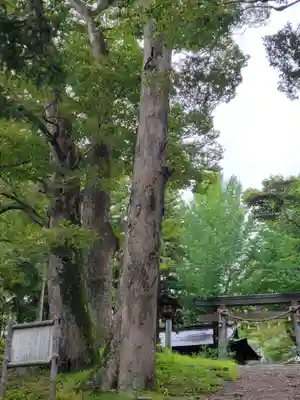 諏訪大社上社前宮のその他建物