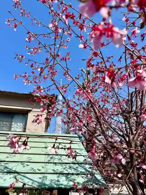 法泉院(東京都)