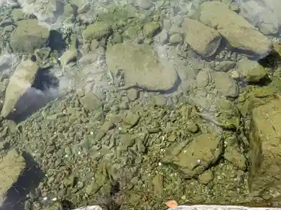 伊勢神宮内宮（皇大神宮）(三重県)