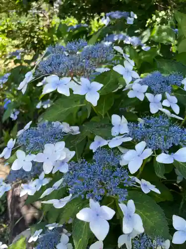 香勝寺(静岡県)