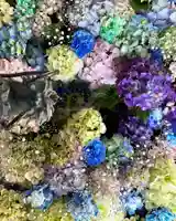 札幌諏訪神社の手水舎