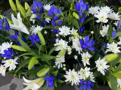 上尾御嶽神社の手水舎