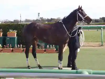 中山競馬場馬頭観音(千葉県)