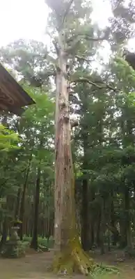 一之宮神社のその他建物