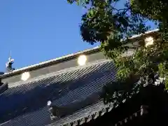 鑁阿寺の本殿