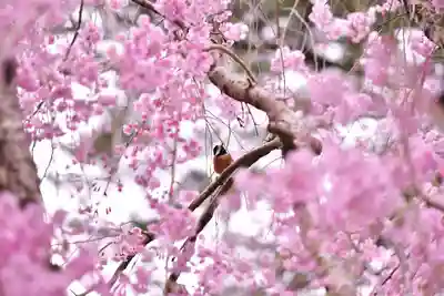 伊勢の国 四天王寺(三重県)