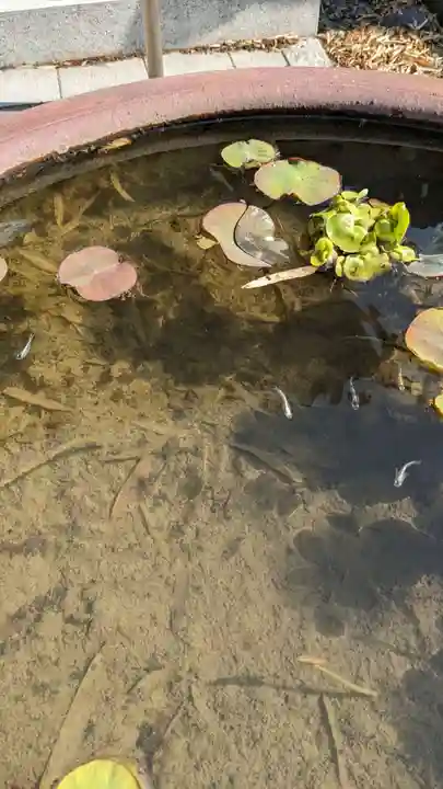 長松寺(埼玉県)