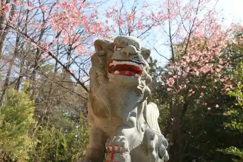 大六天麻王神社の狛犬