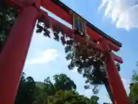 松尾大社の鳥居