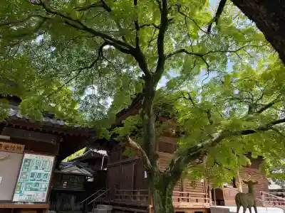 愛知県高浜市春日神社の{uncategorized: "未分類", other: "その他", undefined: "問題あり", building: "その他建物", grave: "お墓", sacred_gate: "鳥居", guardian: "狛犬", statue: "像", buddha: "仏像", history: "歴史", nature: "自然", garden: "庭園", animal: "動物", pagoda: "塔", temizu: "手水舎", mountain_gate: "山門・神門", sanctuary: "本殿・本堂", subordinate: "末社・摂社", art: "芸術", scenery: "景色", jizo: "地蔵", ema: "絵馬", goshuin: "御朱印", omikuji: "おみくじ", items: "授与品その他", amulet: "お守り", goshuincho: "御朱印帳", eats: "食事", festival: "お祭り", votive_dance: "神楽", shichigosan: "七五三参", wedding: "結婚式", experience: "体験その他", initially: "初詣", around: "周辺", anti_infection: "感染症対策"}