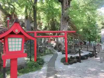 山名八幡宮(群馬県)