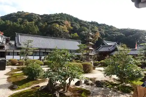 興聖寺（興聖寶林禅寺）の庭園