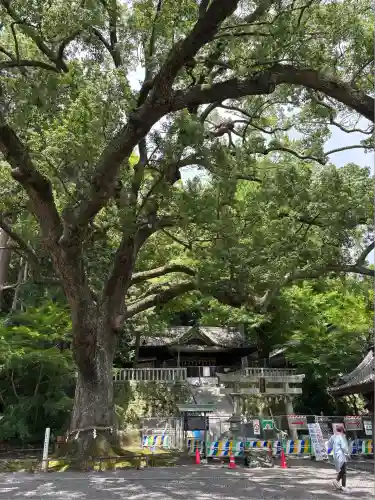事任八幡宮(静岡県)