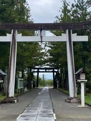 山梨縣護國神社の鳥居