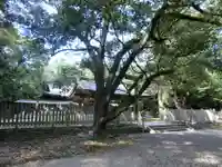 日前神宮・國懸神宮のその他建物