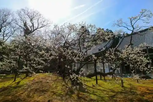 瑞巌寺の庭園