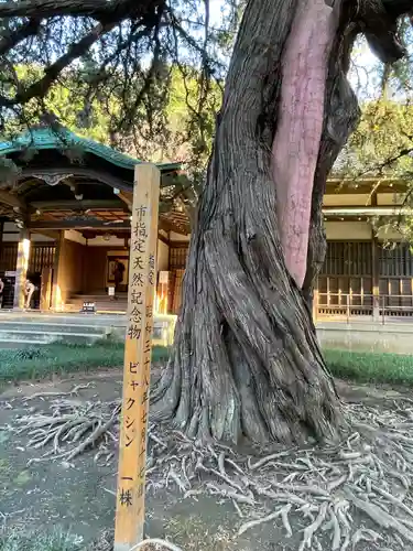 円覚寺(神奈川県)