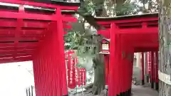 乃木神社の鳥居