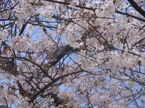 妙本寺の景色