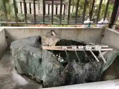 大麻比古神社の手水