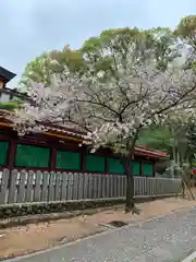 生田神社(兵庫県)