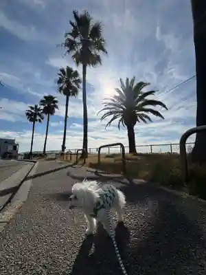 八雲神社(兵庫県)