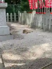 川原神社(愛知県)